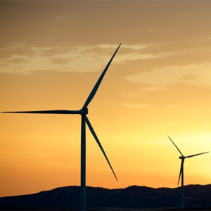 WIND FARM